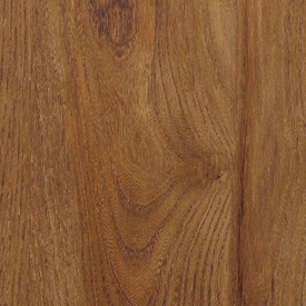 American Chestnut