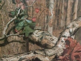 Mossy Oak